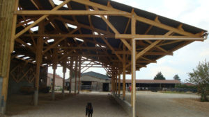 AMC Charpente Loire bâtiment agricole